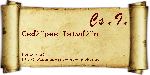 Csépes István névjegykártya